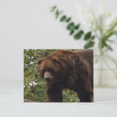 grizzly-beer-005 briefkaart (Staand voorkant)