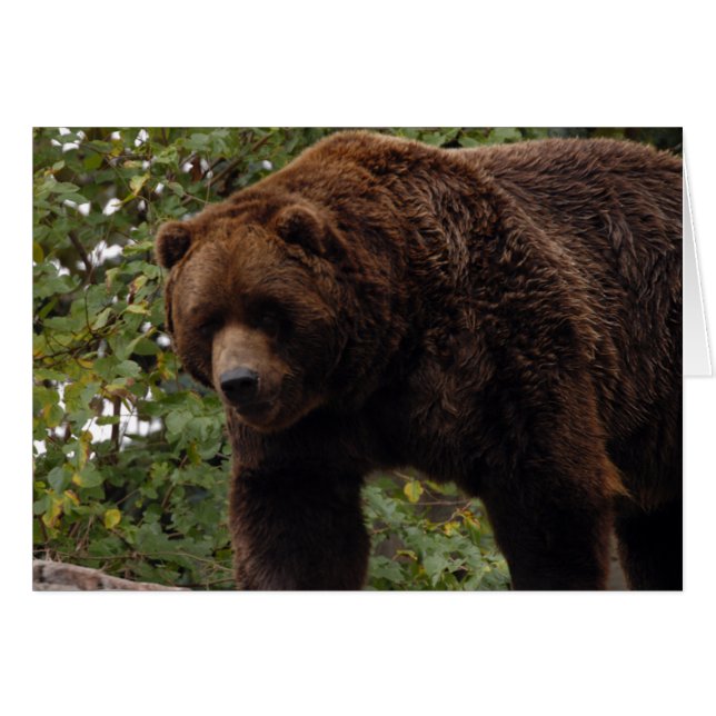 Grizzly Beer-005-kaart (Voorkant Horizontaal)