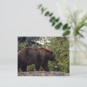 grizzly-beer-007 briefkaart (Staand voorkant)
