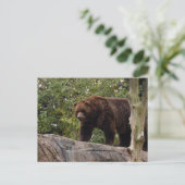 grizzly-beer-013 briefkaart (Staand voorkant)