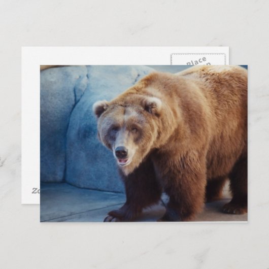 Grizzly Beer 1 Briefkaart (Voorkant / Achterkant)