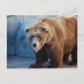 Grizzly Beer 1 Briefkaart (Voorkant)