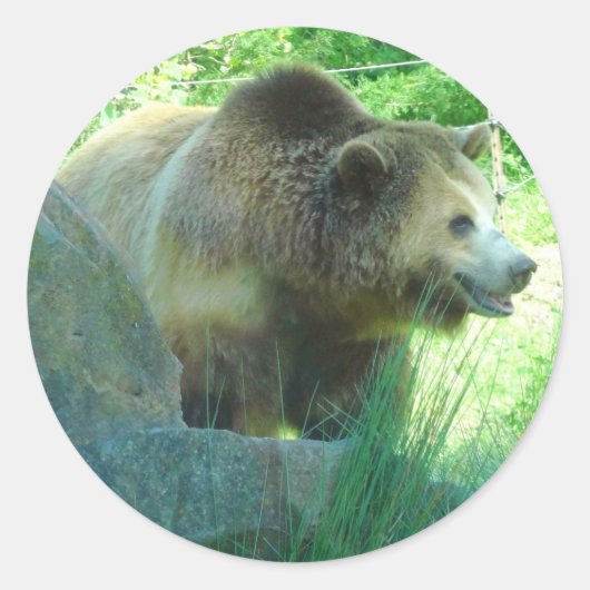 Grizzly Beer #3 Sticker (Voorkant)