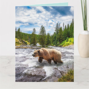 GRIZZLY BEER ALASKA BIRTHDAY WENSKAARTEN KAART