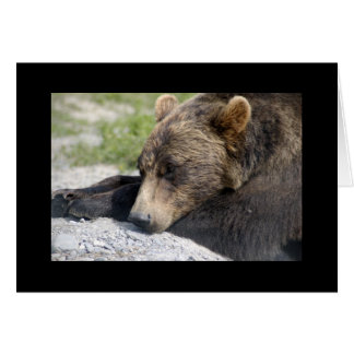 Grizzly Beer Blank card