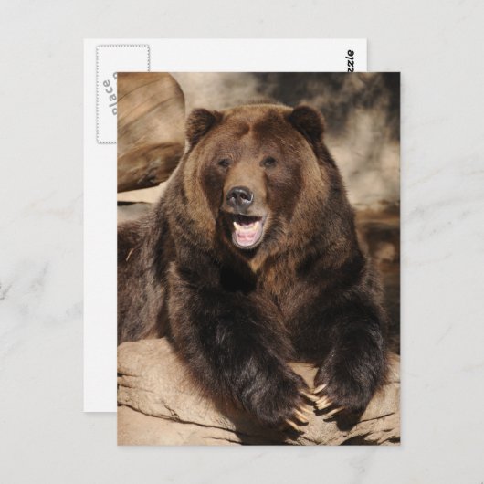 Grizzly Beer Boar Briefkaart (Voorkant / Achterkant)