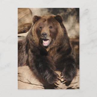 Grizzly Beer Boar Briefkaart