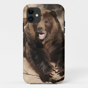 Grizzly Beer Boar iPhone 11 Hoesje