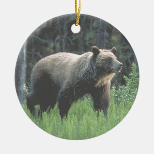 Grizzly Beer Bossen Ornament (Voorkant)