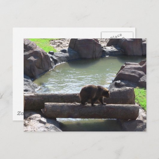 Grizzly Beer Briefkaart (Voorkant / Achterkant)