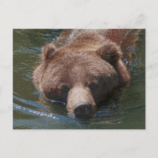 Grizzly Beer Briefkaart (Voorkant)