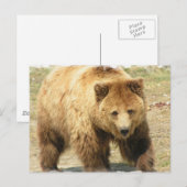 Grizzly Beer Briefkaart (Voorkant / Achterkant)