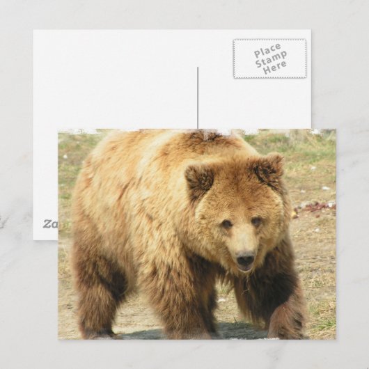 Grizzly Beer Briefkaart (Voorkant / Achterkant)