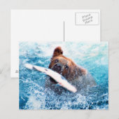 Grizzly Beer Briefkaart (Voorkant / Achterkant)