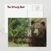 Grizzly-Beer Briefkaart (Voorkant / Achterkant)