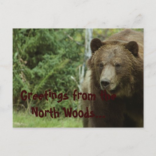 Grizzly-Beer Briefkaart (Voorkant)