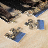 Grizzly beer, bruin beer, cubs, Katmai National Legpuzzel (Zijkant)