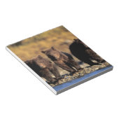 Grizzly beer, bruin beer, cubs, Katmai National Notitieblok (Schuin)