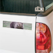 Grizzly beer bumpersticker (Op Truck)