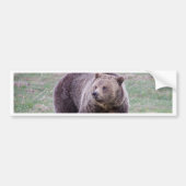 Grizzly beer bumpersticker (Voorkant)