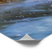 Grizzly Beer Catching Steelhead Salmon Poster (Hoek)