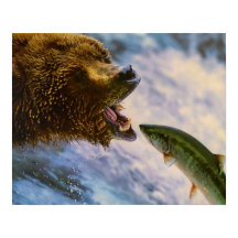 Grizzly Beer Catching Steelhead Salmon
