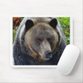 Grizzly Beer Close-up Muismat (Met muis)