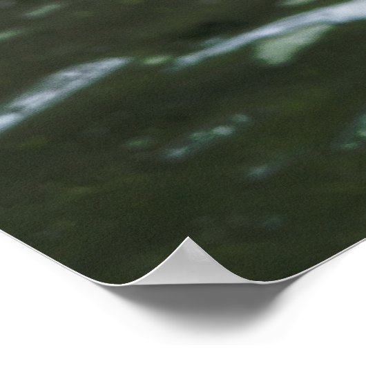 Grizzly Beer Close-up Poster (Hoek)