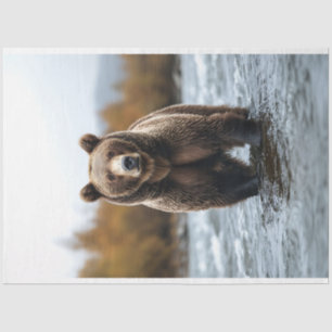 Grizzly Beer Crossing a River Decoupage Tissuepapier