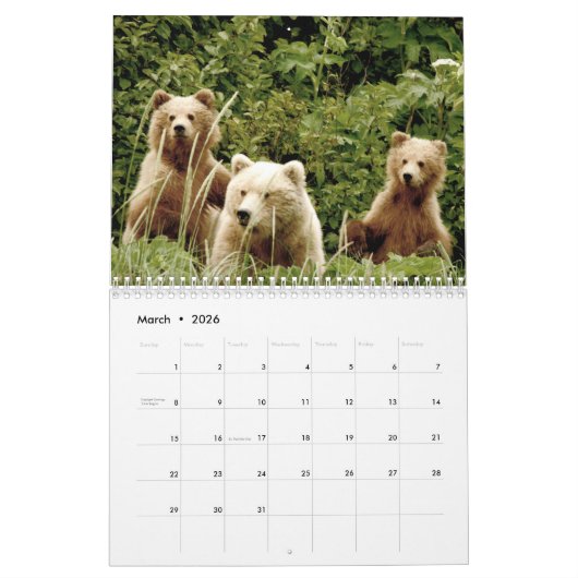 Grizzly beer cubs van Alaska kalender (Mar 2026)