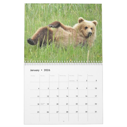 Grizzly beer cubs van Alaska kalender (Jan 2026)