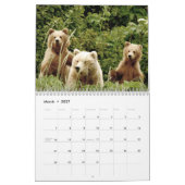 Grizzly beer cubs van Alaska kalender (Mar 2027)