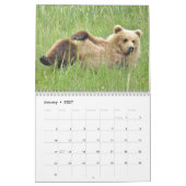 Grizzly beer cubs van Alaska kalender (Jan 2027)