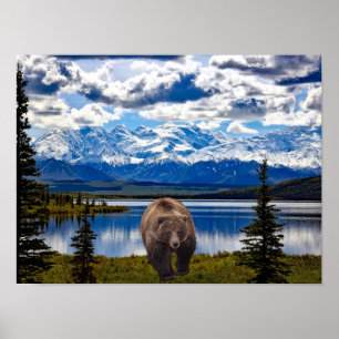 GRIZZLY BEER DENALI PARK ALASKA POSTER