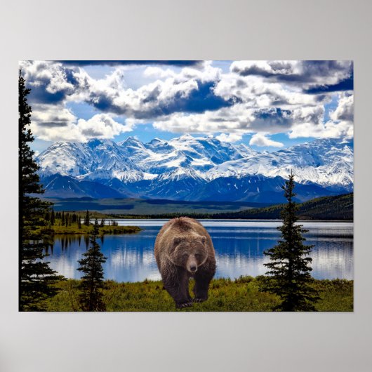 GRIZZLY BEER DENALI PARK ALASKA POSTER (Voorkant)