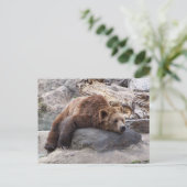 Grizzly Beer die op Rock rust Briefkaart (Staand voorkant)