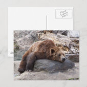 Grizzly Beer die op Rock rust Briefkaart (Voorkant / Achterkant)