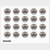 Grizzly Beer die op Rock rust Ronde Sticker (Vel)