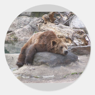Grizzly Beer die op Rock rust Ronde Sticker