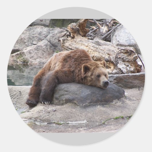 Grizzly Beer die op Rock rust Ronde Sticker (Voorkant)