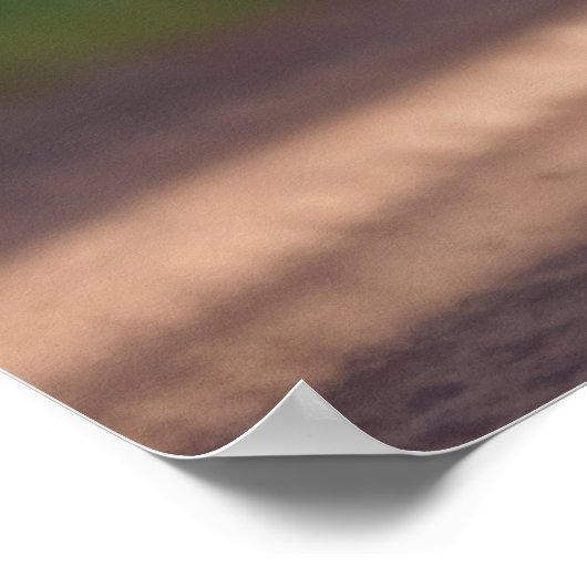 Grizzly Beer Dier Fun Fietsfiets Happy Relax Poster (Hoek)