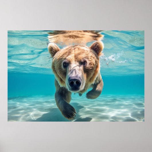 Grizzly Beer Dier Fun Natuur Spelen Poster (Voorkant)