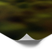 Grizzly Beer Dier Natuur Majestic Wild Poster (Hoek)