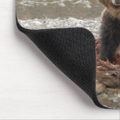 Grizzly Beer en Raven Muismat (Hoek)