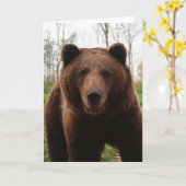 GRIZZLY BEER FOTOGRAPHY BIRTHDAY KAART (Gele Bloem)