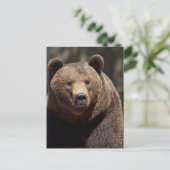 GRIZZLY BEER FOTOGRAPHY BRIEFKAART (Staand voorkant)