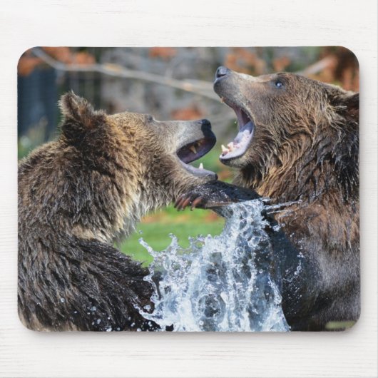 Grizzly beer gevecht muismat (Voorkant)