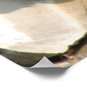 grizzly beer groot poster 2 (Hoek)