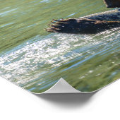 Grizzly Beer heeft een zalm gevangen Poster (Hoek)