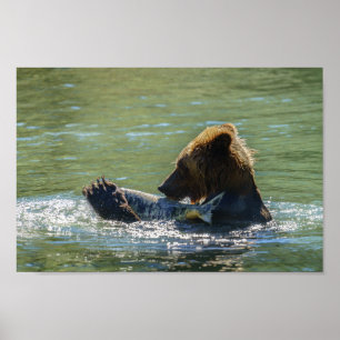 Grizzly Beer heeft een zalm gevangen Poster